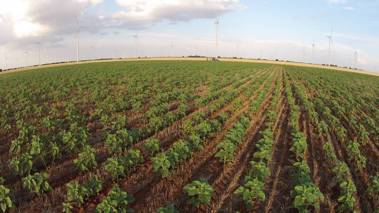 dia-mundial-del-suelo-agricultura-conservacion|dia-mundial-del-suelo-agricultura-conservacion